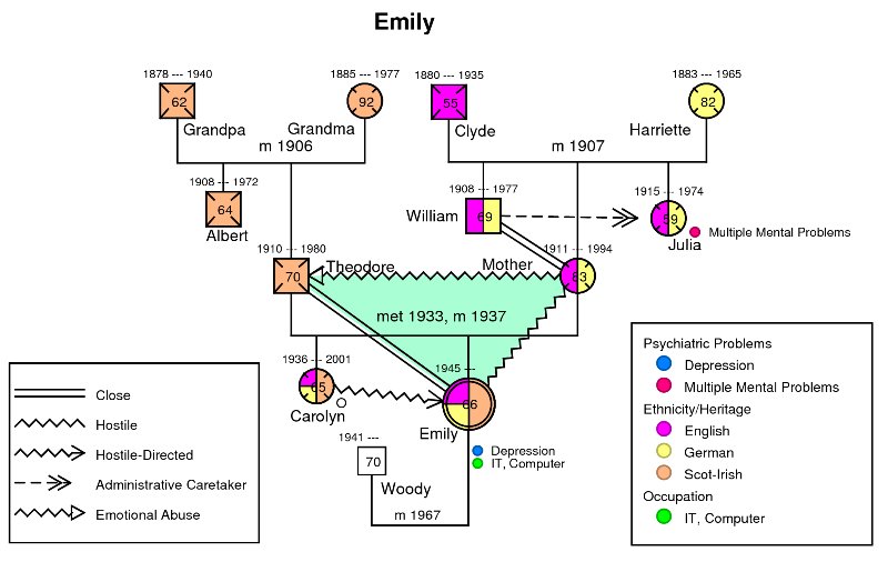 Genogram Examples Genogram Analytics